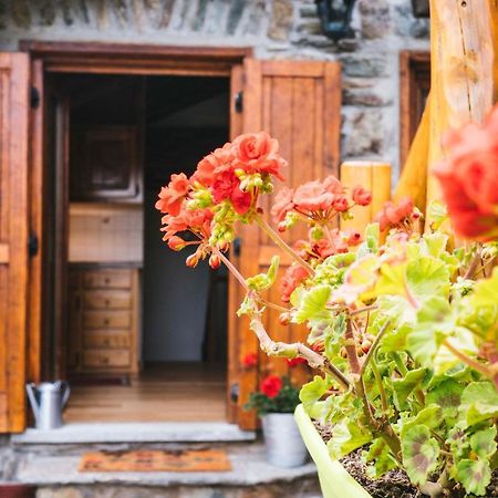 Chalet Le Lis Валтурненче Екстериор снимка