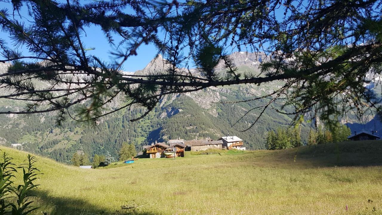 Chalet Le Lis Валтурненче Екстериор снимка